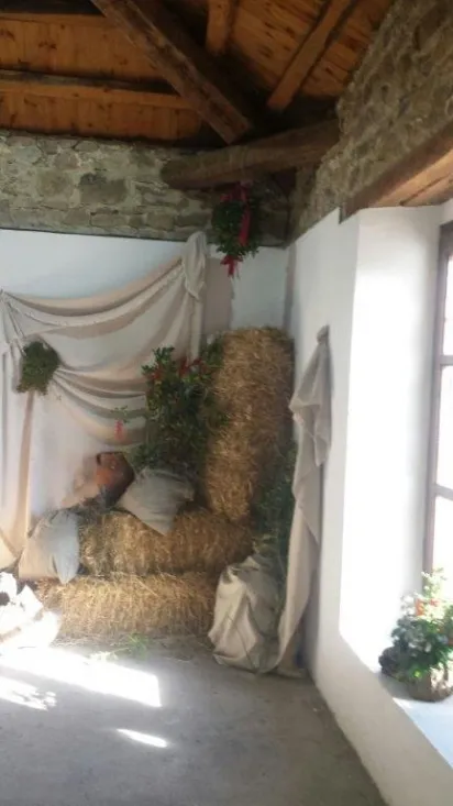 Matanza en San Andrés de Soria