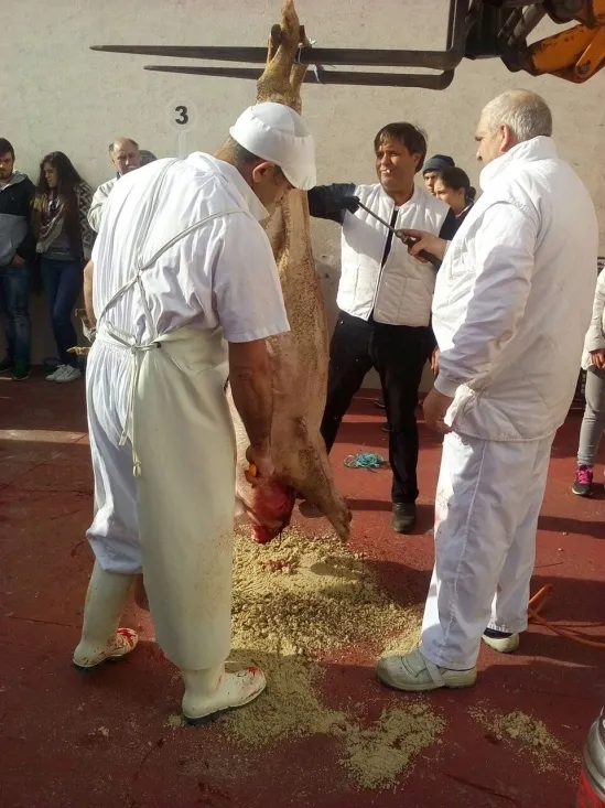 Imágenes de la matanza/ ASOCIACIÓN CULTURAL NUMANCIA