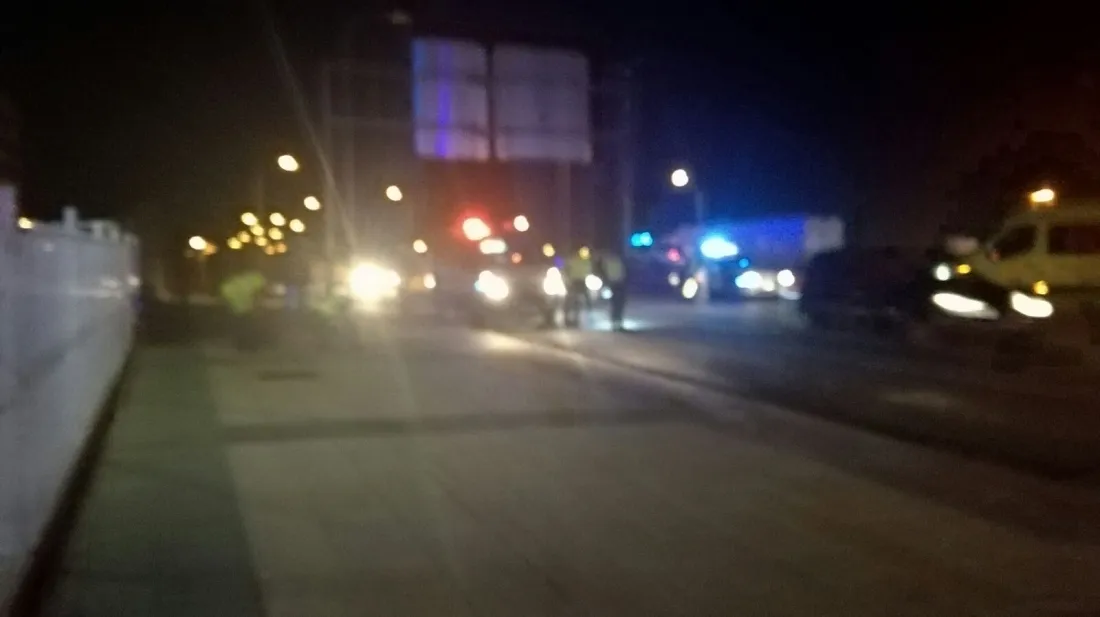Guardia Civil y dotación médica en el lugar del atropello. /SN