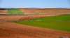 Parcelas agrícolas en la provincia de Soria. / SN