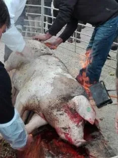Matanza en San Andrés de Soria
