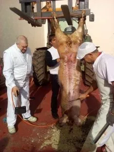 Imágenes de la matanza/ ASOCIACIÓN CULTURAL NUMANCIA