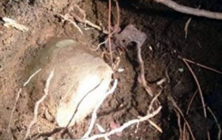 El proyectil antes de su destrucción./GC