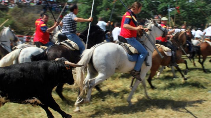 Imagen de la Saca 2016./SN