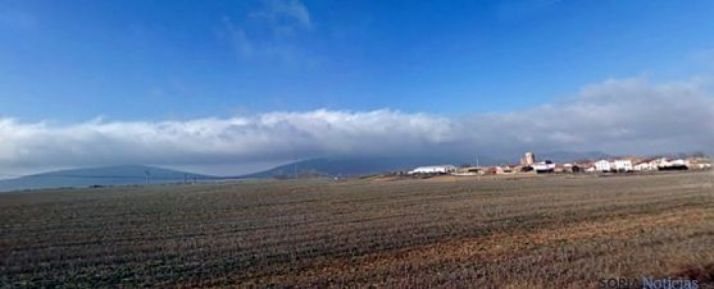 UPA-COAG alerta sobre la falta de rentabilidad de las explotaciones sorianas en 2016