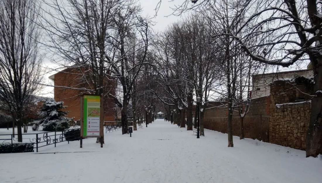 Imagen de la nevada este viernes en Ágreda./SN