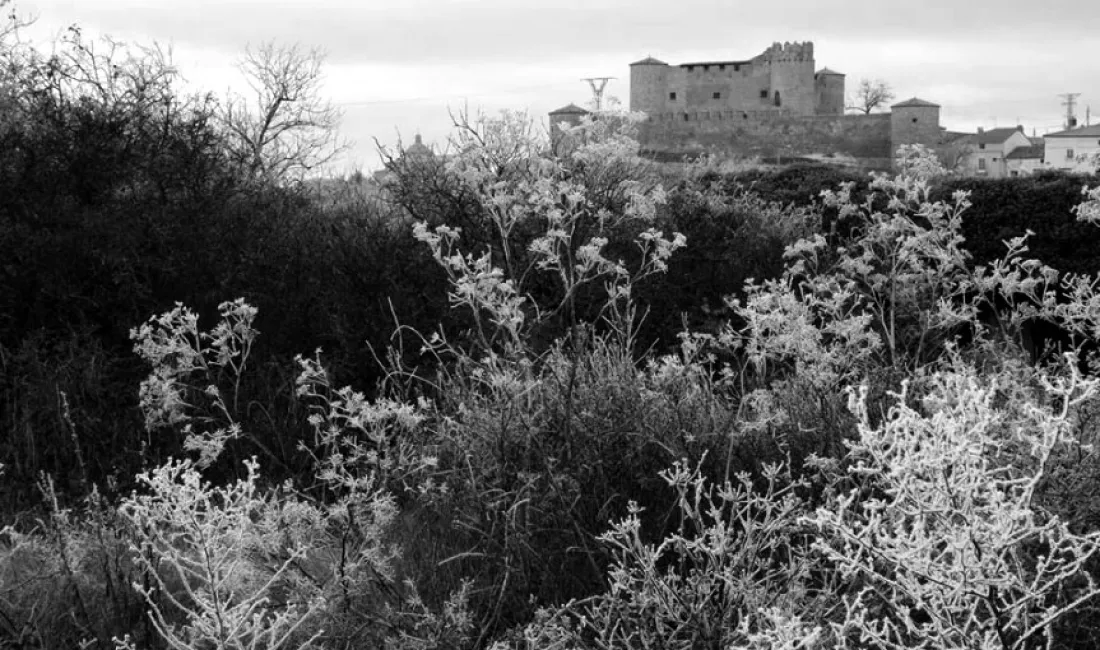 Imagen de Almenar este lunes, según @AlmenarSoria