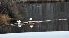 Una imagen del río este viernes./SN