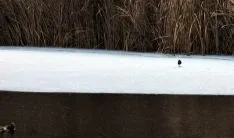 Una imagen del río este viernes./SN