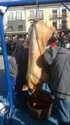 Matanzas del Virrey en El  Burgo de Osma.