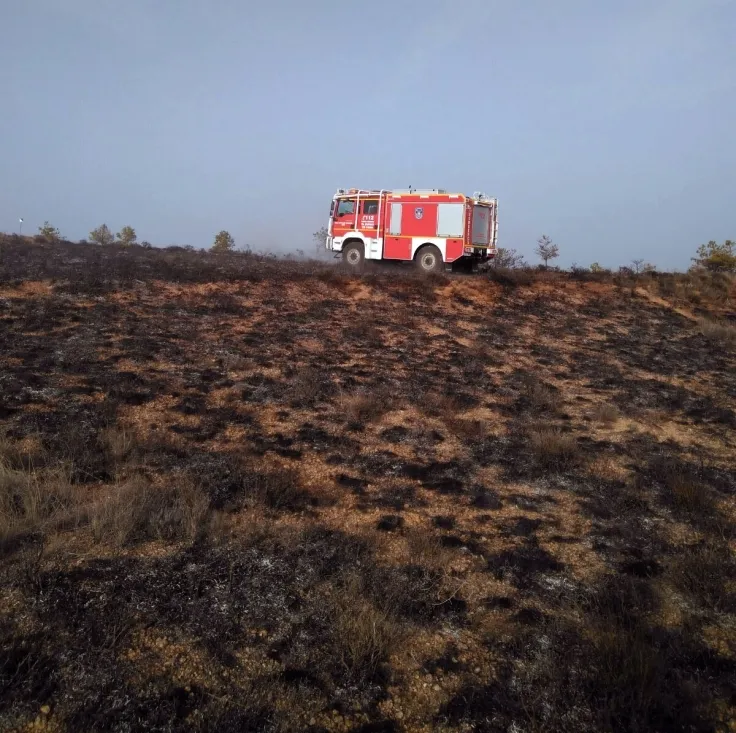 Imagen de la zona incendiada. /SN