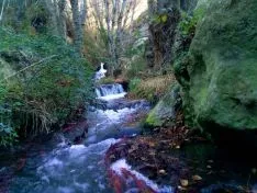 Imagen del río Val aguas abajo de la EDAR. /ASDEN