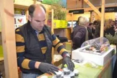 Concurso trufa más grande