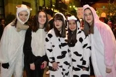 Desfile del Carnaval de Soria 2017. /SN