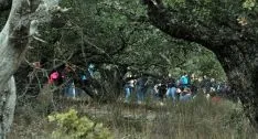 Una de las imágenes del término de Los Royales este Jueves Lardero. /SN