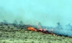 Imagen de la zona incendiada. /SN