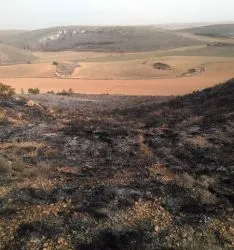 Imagen de la zona incendiada. /SN
