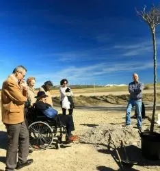 Plantación en la zona de Las Fuentes.