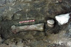 Imagenes de los trabajos y de los restos fósiles de 'Magnamanus soriaensis'