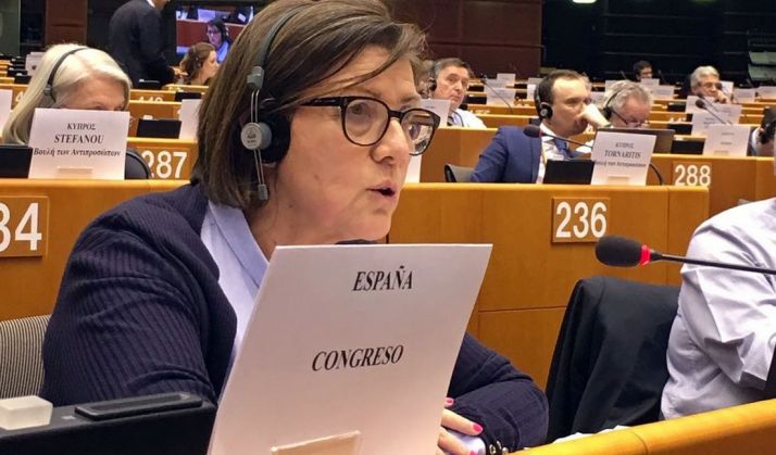 Angulo, en el Parlamento Europeo.