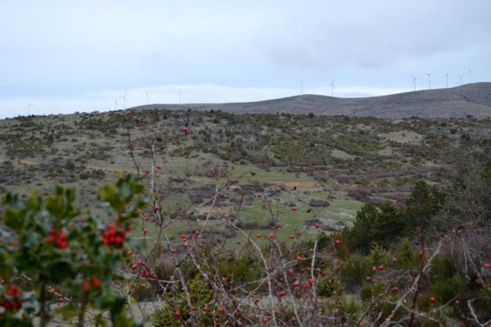 Paisaje navideño soriano, en la comarca de Tierras Altas./ SN