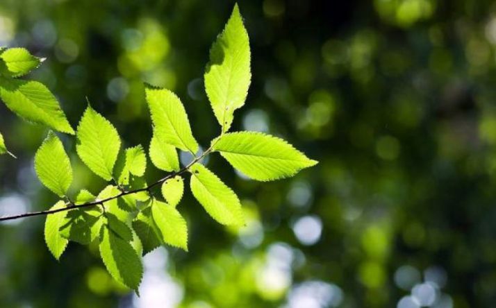 En municipios menores de 5.000 habitantes.