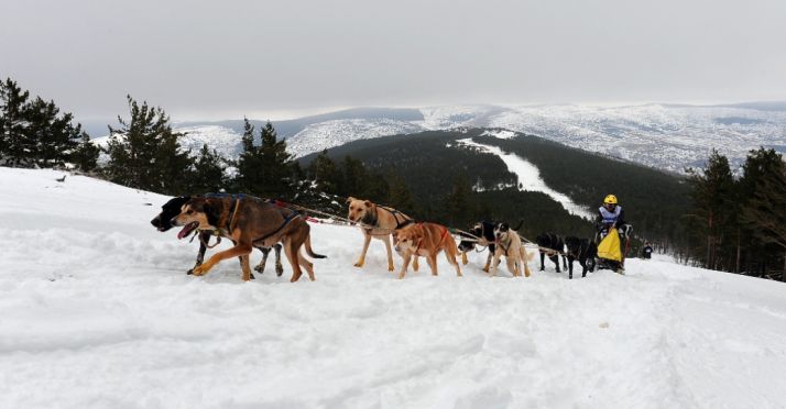 Imagen de una edición anterior. /SU