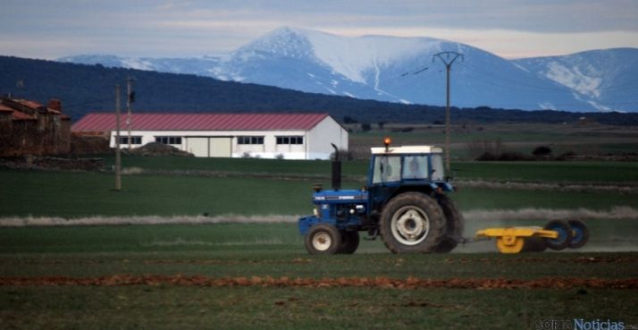 Labores agrícolas cerca del Moncayo./SN