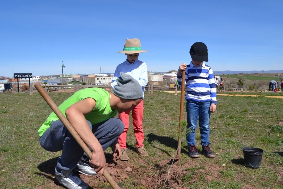 Plantación en el parque del Bosque Infantil. /SN