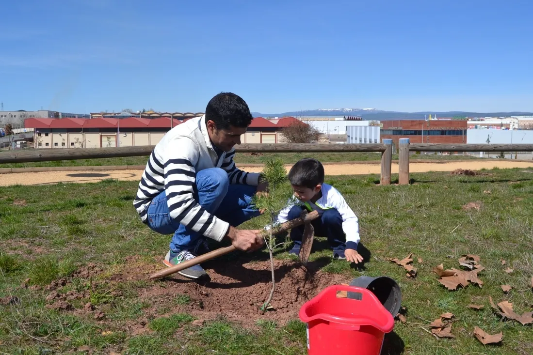 Plantación en el parque del Bosque Infantil. /SN