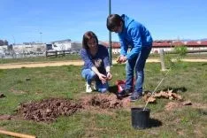 Plantación en el parque del Bosque Infantil. /SN