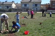 Plantación en el parque del Bosque Infantil. /SN