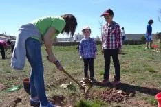Plantación en el parque del Bosque Infantil. /SN