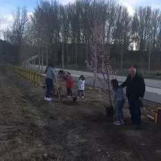 Celebración del día del árbol en Quintana Redonda/QR