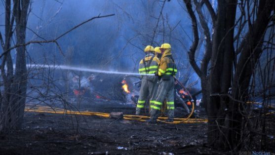 Actuación en un incendio forestal en Soria. /Archivo.