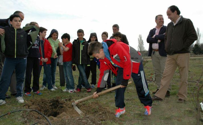 Una plantación anterior. /Jta.