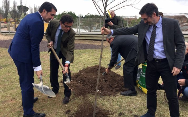 Jornada institucional del Día de los Bosques./Jta.