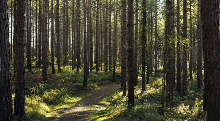 La cuantía es de más de 0,5 M€. /SN