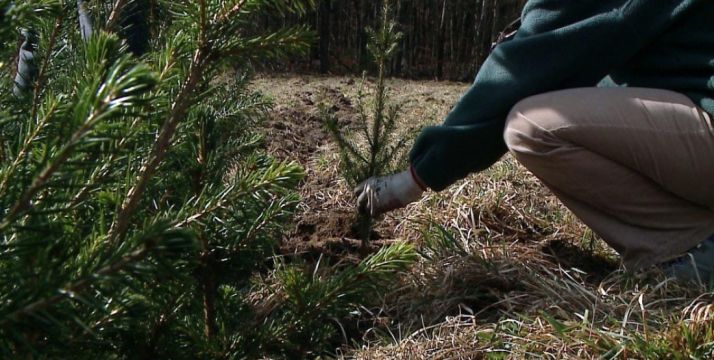 Amparada por varios colectivos./SN