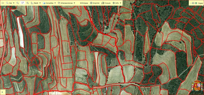 Visor de parcelas en un área soriana./SIGPAC