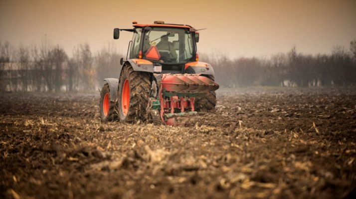 En todas sus oficinas. /SN