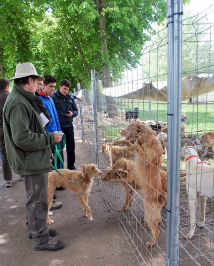 Imagen de años anteriores/ SN