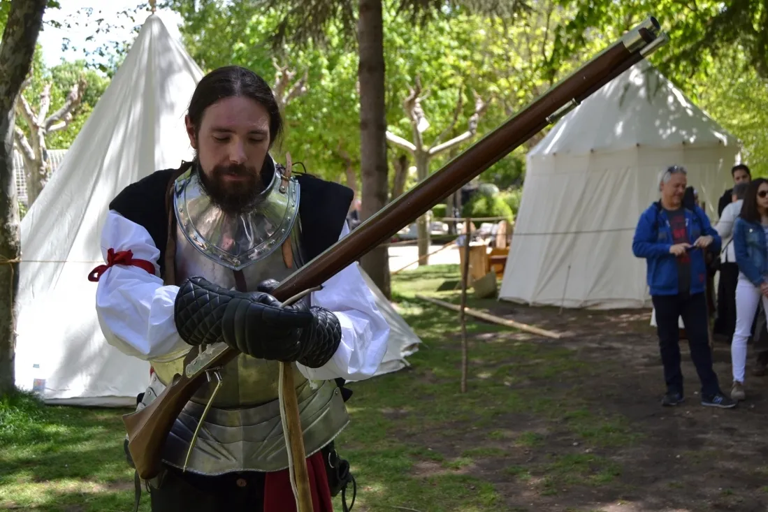 Recreaciones históricas con la asociación 'Oria Dauria' para celebrar el Dia de Castilla y León. /SN