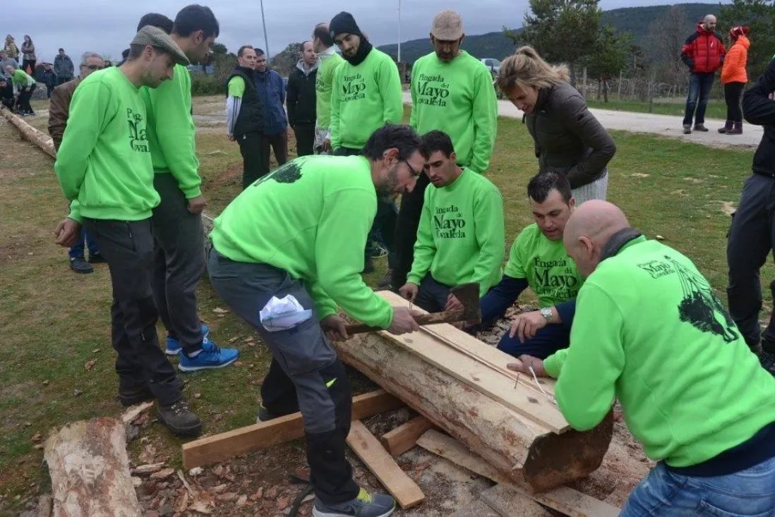 Pingadas de los mayos en Pinares