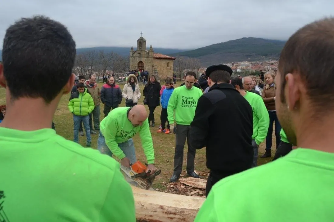 Pingadas de los mayos en Pinares