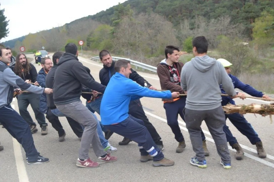 Pingadas de los mayos en Pinares