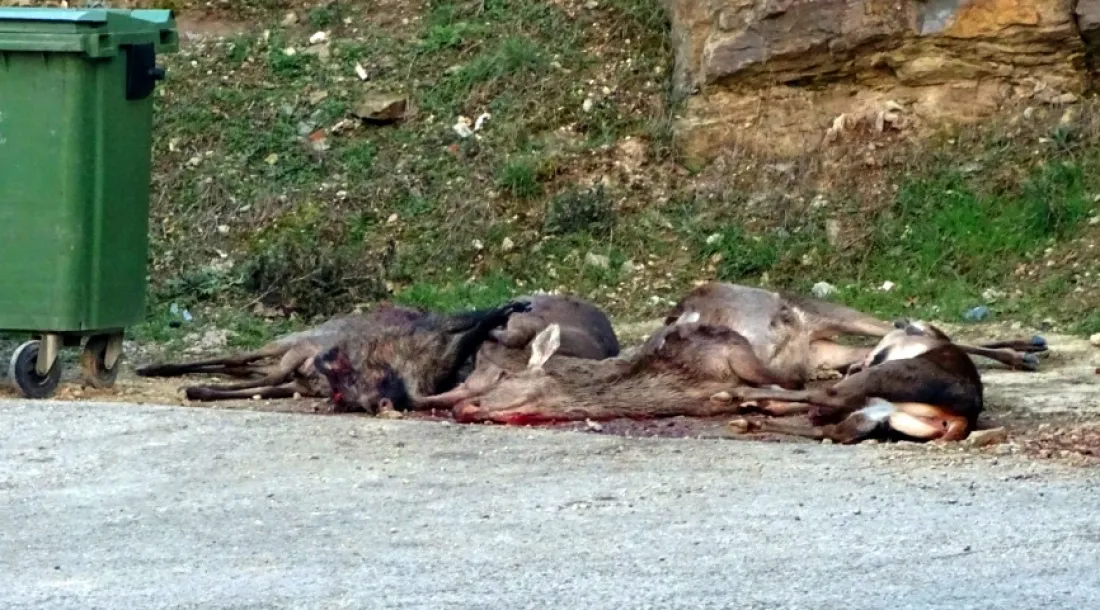 Las piezas abatidas en Magaña. /ASDEN