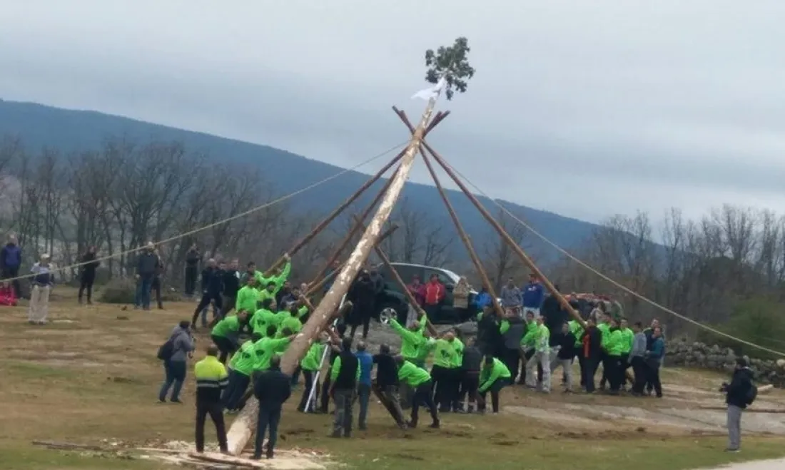 Pingadas de los mayos en Pinares