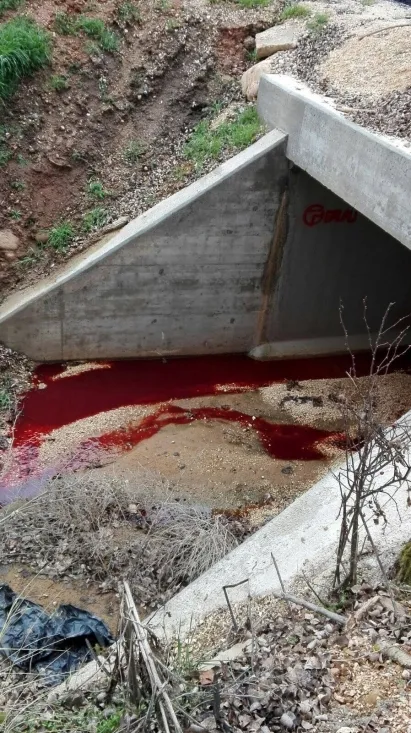 Imagen del vertido según ASDEN. /ASDEN
