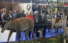 Imagen de la apertura de la feria adnamantina este viernes. /SN